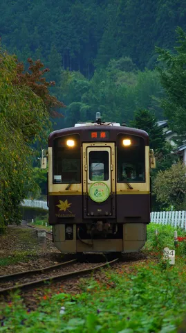 山里を走る列車の佇まい