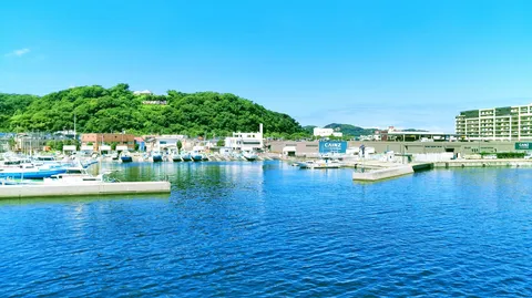 「とびはね最高！」と叫ぶ青い港