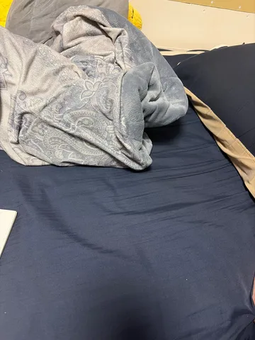 毛布の静かな休息