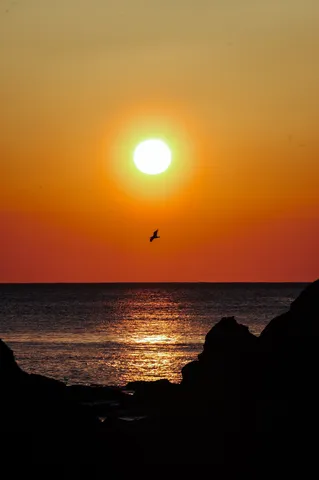 夕日と海と岩の静写