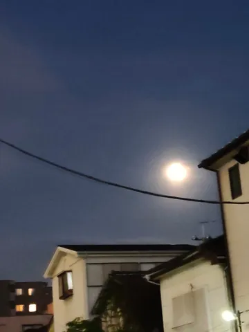 月と電線がつむぐ夜景