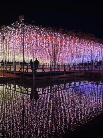 光のカーテンが水面に揺れる夜