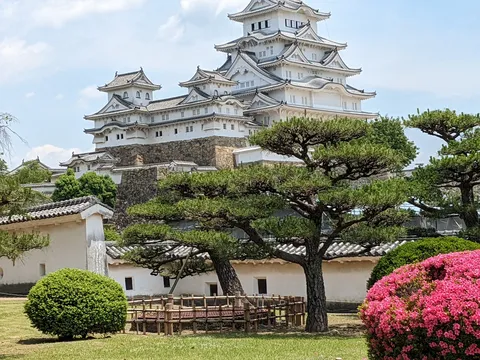 新緑と白亜の城、爽やかなコントラスト