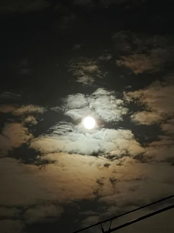 月光と雲の夜空が照らす