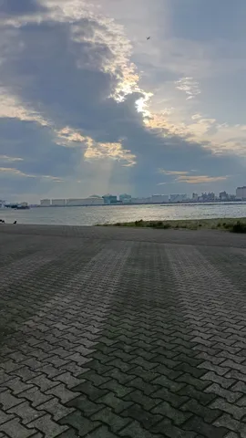 光芒と静寂の港湾風景