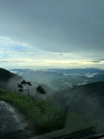 雨上がりの山頂、霧と緑のコントラスト
