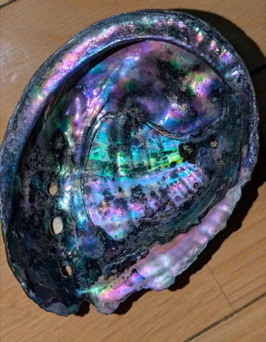 虹色に煌めく海の宝