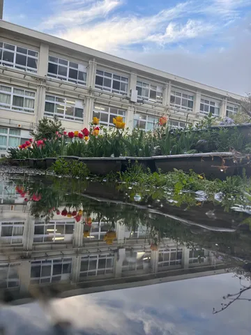 雨上がりの校园、写る世界