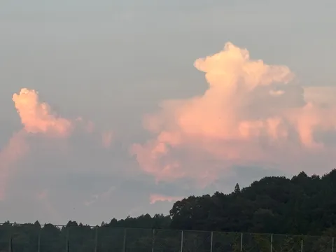 空に浮かぶピンクの雲、動物のよう