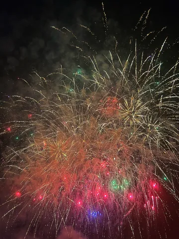 夜空を彩る光の乱舞