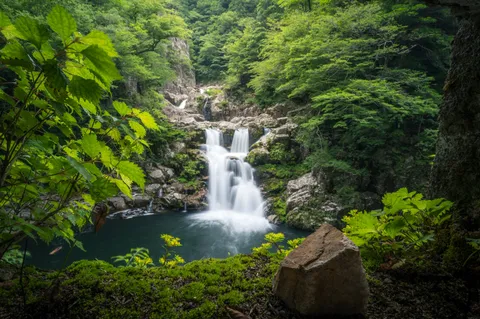 緑のフレーム越しの秘境滝