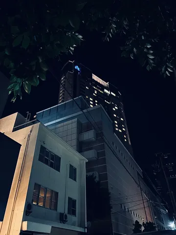 葉陰に浮かぶ夜の塔