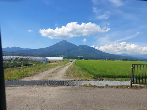 夏の田舎道