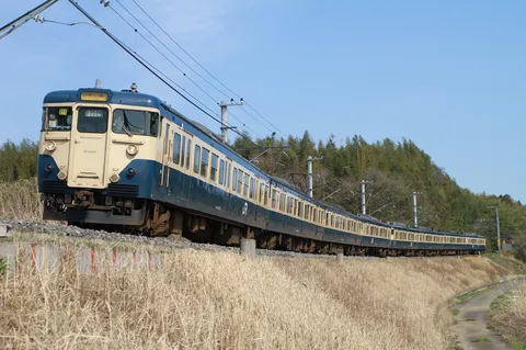 長編成の列車が紡ぐ風景