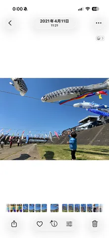 青空と泳ぐ鯉のぼり