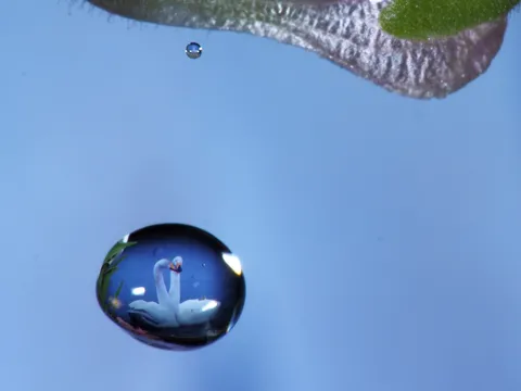 青空に映る水の球体
