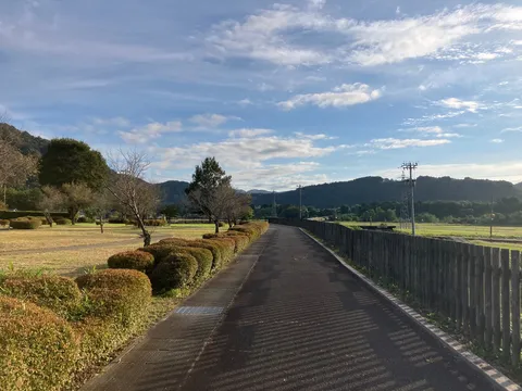 風景の静かな道、朝の光