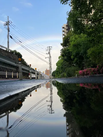 水たまりに映る、雨上がりの空と街