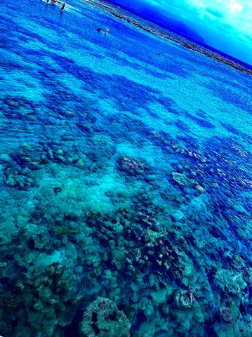 青い海とサンゴ礁のコントラスト