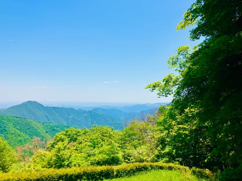 青と緑の静かなスケール
