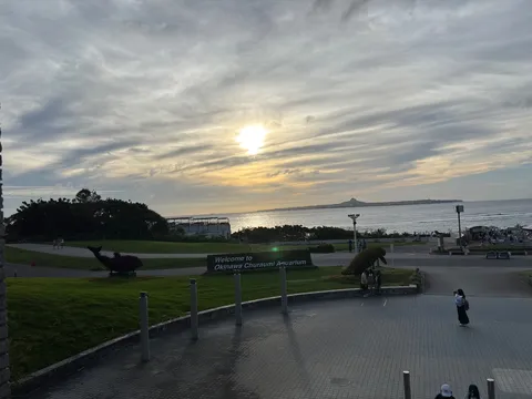 夕暮れの海辺、水族館の歓迎ムード