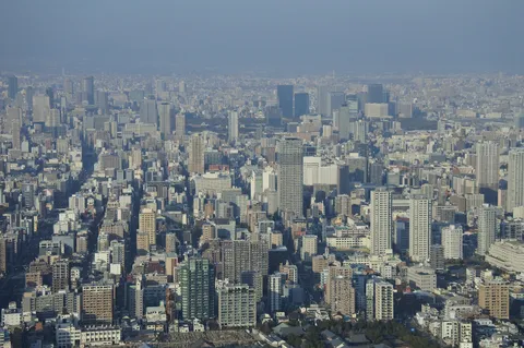 高密度都市の静かな眺望