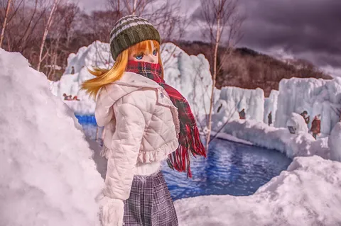 雪壁の向こうの冬景色