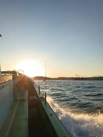 黄金色の海を駆ける