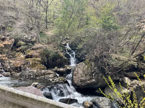 岩間を流れる清流のせせらぎ
