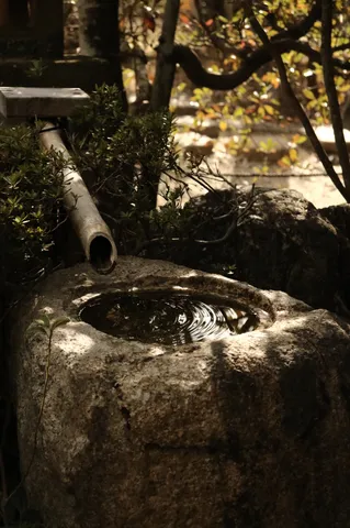 竹筒から滴る、静寂のしずく