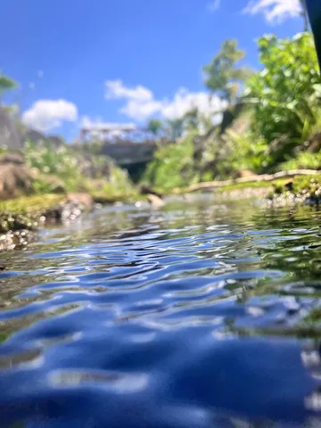 水面のさざ波と初夏の青空