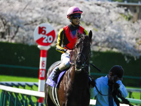 競走馬と桜、春の息吹