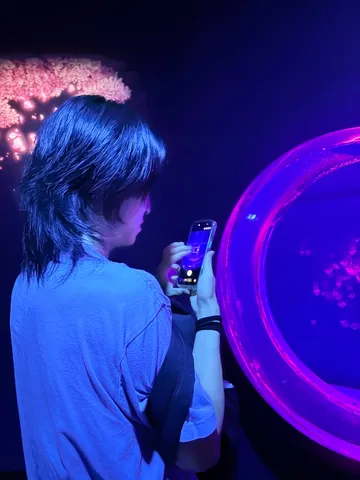 紫光に映る静かな瞬間