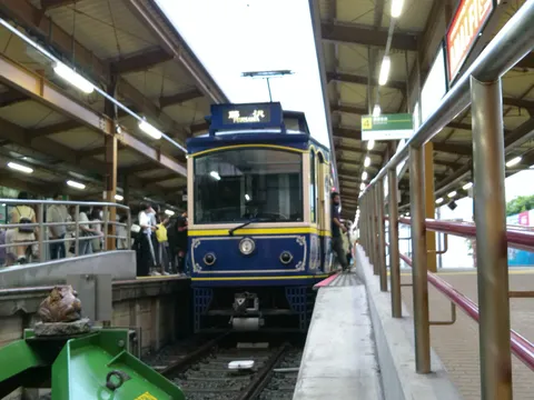 駅のホームと愛らしいカエル