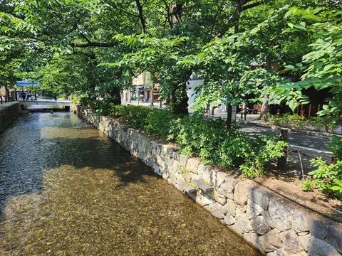 石積みの護岸と木漏れ日の小川