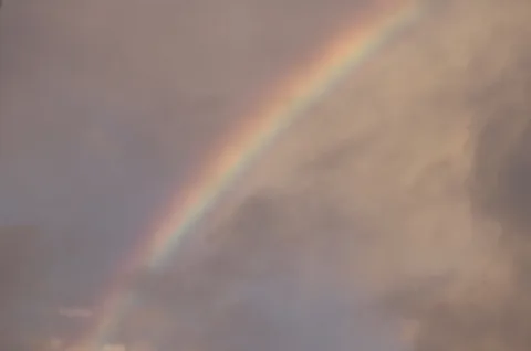雨上がりの空に架かる希望の光