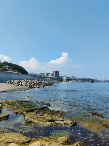 夏空とテトラポッドの海