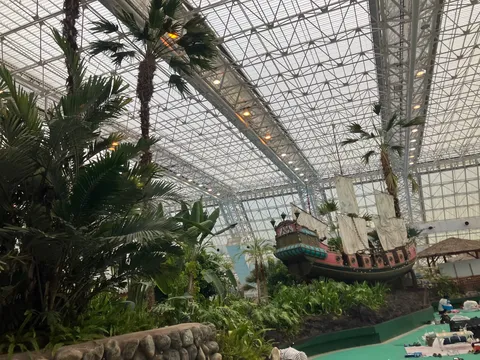室内で冒険気分！海賊船とヤシの木