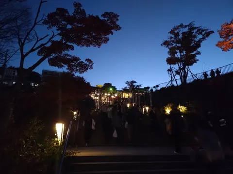 夕暮れの灯りが誘う道