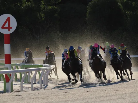 砂煙を上げ、ゴールを目指す競走馬たち