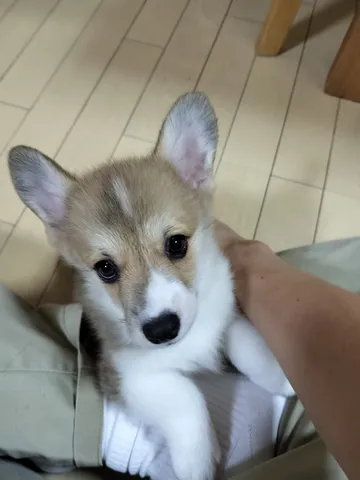 見つめる瞳に吸い込まれそう