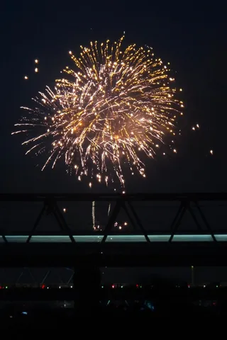 夜空を彩る金色の花火