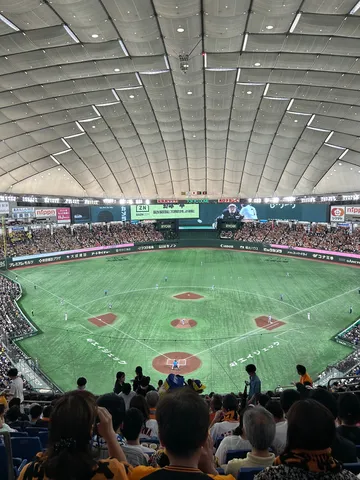 ドーム球場の熱気、一瞬を切り取る