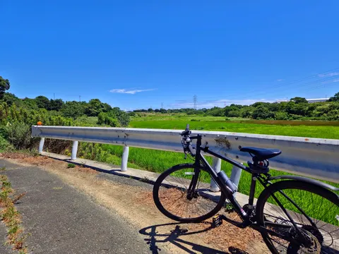 自転車と夏の田園風景