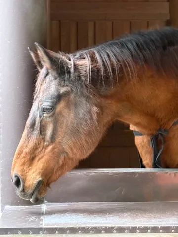 静かな瞳に映る世界