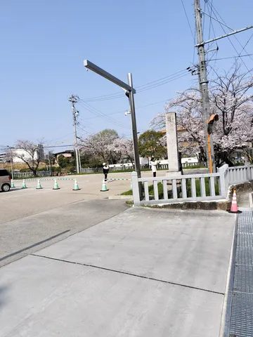 春風と桜、そして静かな道