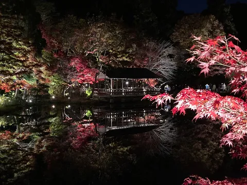 水面に映る秋の灯り