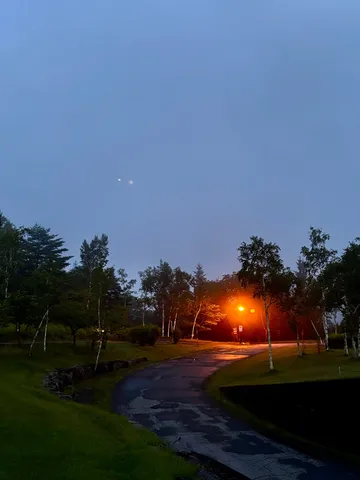 夜明け前の幻想的な一本道