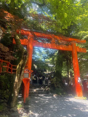木漏れ日に浮かぶ朱色の門