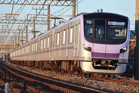 紫色の列車、夕日に染まる